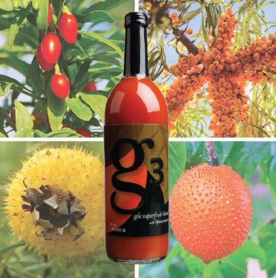 4-loại-quả-trong-g3